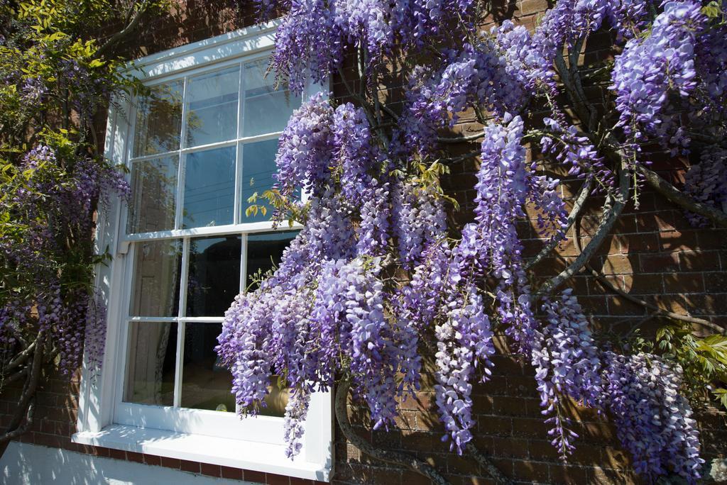 Boreham House Herstmonceux Buitenkant foto